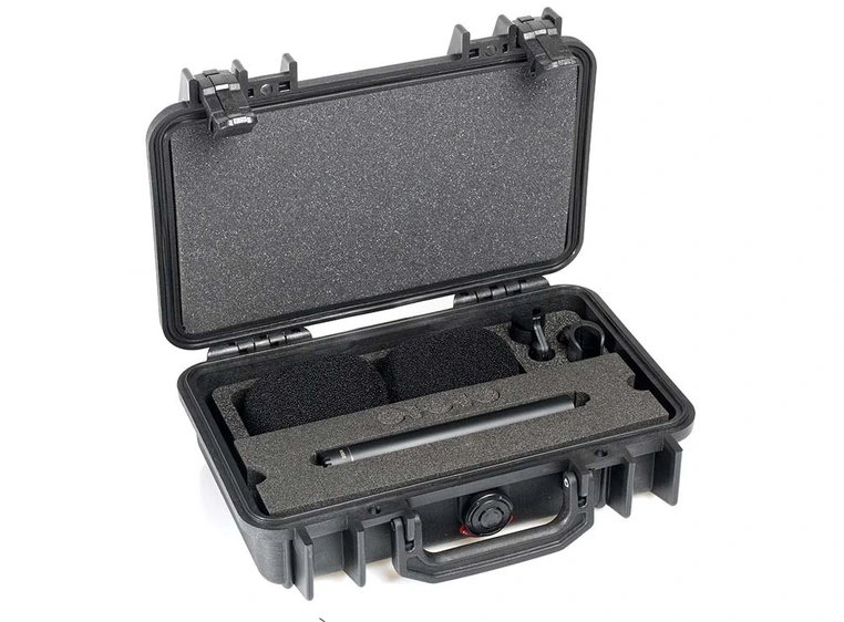 DPA 2006A Stereo Pair - 2 x 2006A Clips, Windscreens in Peli Case 